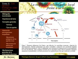 La respuesta inflamatoria local frente a la infección 17/11/2008 Patología General. Grupo C (Prof. Cruz Fernández). 