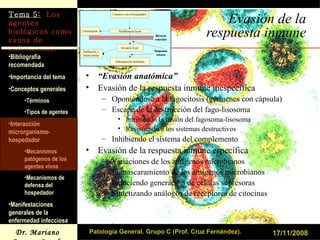 Evasión de la respuesta inmune “ Evasión anatómica” Evasión de la respuesta inmune inespecífica Oponiéndose a la fagocitosis (gérmenes con cápsula) Escape de la destrucción del fago-lisosoma Inhibiendo la fusión del fagosoma-lisosoma Resistiendo a los sistemas destructivos Inhibiendo el sistema del complemento Evasión de la respuesta inmune específica Variaciones de los antígenos microbianos Enmascaramiento de los antígenos microbianos Induciendo generación de células supresoras Sintetizando análogos de receptores de citocinas ... 17/11/2008 Patología General. Grupo C (Prof. Cruz Fernández). 