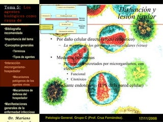Disfunción y lesión tisular Por daño celular directo (efecto citopático) La mayoría de los gérmenes intrracelulares (virus) Mediante exotoxinas Polipéptidos secretados por microrganismos, con efecto... Funcional Citotóxico Mediante endotoxinas (LPS de la pared celular) 17/11/2008 Patología General. Grupo C (Prof. Cruz Fernández). 