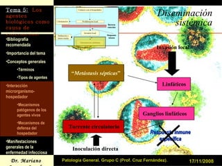 Diseminación sistémica 17/11/2008 Patología General. Grupo C (Prof. Cruz Fernández). Invasión local Inoculación directa Linfáticos Ganglios linfáticos Torrente circulatorio “ Metástasis sépticas ” Respuesta inmune específica 