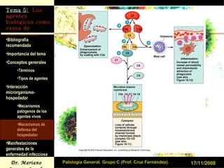 17/11/2008 Patología General. Grupo C (Prof. Cruz Fernández). 