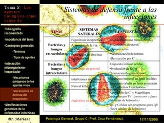 Sistemas de defensa frente a las infecciones 17/11/2008 Patología General. Grupo C (Prof. Cruz Fernández). TIPOS SISTEMAS NATURALES RESPUESTA INMUNE Bacterias y hongos extracelulares Fagocitosis inespecífica Respuesta inmune humoral (IgG) Mecanismos efectores: Opsonización Neutralización de toxinas Destrucción por C’ Activación de la vía alternativa del C’ Producción de citocinas inflamatorias Bacterias y hongos intracelulares Inefectivos en general Respuesta inmune celular Producción de INF- γ Formación de granulomas Virus Interferones antivirales Respuesta humoral en fases iniciales Respuesta celular en fases avanzadas por Linfocitos T citotóxicos Natural killer Parásitos Inefectivos en general Activación de C’ y Macrófagos activados por Th1  (protozoos y fases larvarias de helmintos) IgE y Células con receptores para IgE  (fases adultas de helmintos) 