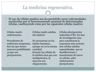 La medicina regenerativa. El uso de células madres nos ha permitido curar enfermedades producidas por el funcionamiento anormal de determinadas células, sustituyendo estas por las siguientes células madres: Células madre embrionarias: Procedentes de embriones tempranos. Son las que tienen mayores posibilidades ya que son pluripotentes. Células madre adultas (de tejidos): Se encuentran en los tejidos humanos, aunque no en la misma cantidad. Excepto las células de la medula ósea que son multipotentes, la mayoría son oligopotentes. Células pluripotentes inducidas (CPi): En fase de investigación aun, pero constituyen la esperanza mas reciente. Son células adultas especializadas, que se desdiferencian y transforman de nuevo en células ,adre embrionarias pluripotentes. 