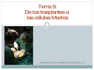 JOSÉ MANUEL RODRÍGUEZ MUÑOZ 1º C Tema 5: De los trasplantes a  las células Madres 