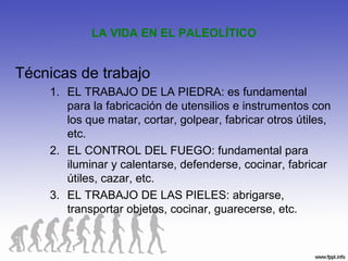 LA VIDA EN EL PALEOLÍTICO
Técnicas de trabajo
1. EL TRABAJO DE LA PIEDRA: es fundamental
para la fabricación de utensilios e instrumentos con
los que matar, cortar, golpear, fabricar otros útiles,
etc.
2. EL CONTROL DEL FUEGO: fundamental para
iluminar y calentarse, defenderse, cocinar, fabricar
útiles, cazar, etc.
3. EL TRABAJO DE LAS PIELES: abrigarse,
transportar objetos, cocinar, guarecerse, etc.
 