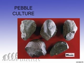 PEBBLE
CULTURE
 