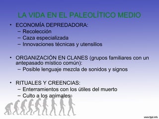 LA VIDA EN EL PALEOLÍTICO MEDIO
• ECONOMÍA DEPREDADORA:
– Recolección
– Caza especializada
– Innovaciones técnicas y utensilios
• ORGANIZACIÓN EN CLANES (grupos familiares con un
antepasado místico común):
– Posible lenguaje mezcla de sonidos y signos
• RITUALES Y CREENCIAS:
– Enterramientos con los útiles del muerto
– Culto a los animales
 