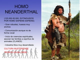 HOMO
NEANDERTHAL
(125.000-30.000, EXTINGUIDOS
POR HOMO SAPIENS SAPIENS)
- Gran robustez, huesos muy
anchos
- Comunicación aunque no de
forma vocal
- Inicio de creencias espirituales,
asocian las familias a espíritus de
animales (CLANES)
- Industria lítica muy desarrollada:
CULTURA MUSTERIENSE
TÉCNICA LEVALLOISSE
 
