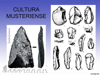 CULTURA
MUSTERIENSE
 