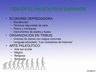 VIDA EN EL PALEOLÍTICO SUPERIOR
• ECONOMÍA DEPREDADORA:
– Recolección
– Técnicas depuradas de caza
– Pesca y marisqueo
– Instrumentos de piedra y hueso
• ORGANIZACIÓN EN TRIBUS:
– Uniones de clanes con rasgos comunes
– Lenguaje articulado: “Los contadores de historias”
• ARTE PALEOLÍTICO:
– Arte por el arte
– Mágico
– Religioso
– Santuario
 