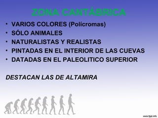 ZONA CANTÁBRICA
• VARIOS COLORES (Polícromas)
• SÓLO ANIMALES
• NATURALISTAS Y REALISTAS
• PINTADAS EN EL INTERIOR DE LAS CUEVAS
• DATADAS EN EL PALEOLITICO SUPERIOR
DESTACAN LAS DE ALTAMIRA
 