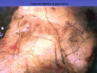 cueva de altamira. la gran cierva
 