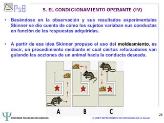 PROCESOS PSICOLÓGICOS BÁSICOS © 2007 DEPARTAMENTO DE PSICOLOGÍA DE LA SALUD
25
5. EL CONDICIONAMIENTO OPERANTE (IV)
• Basándose en la observación y sus resultados experimentales
Skinner se dio cuenta de cómo los sujetos variaban sus conductas
en función de las respuestas adquiridas.
• A partir de esa idea Skinner propuso el uso del moldeamiento, es
decir, un procedimiento mediante el cual ciertos reforzadores van
guiando las acciones de un animal hacia la conducta deseada.
 