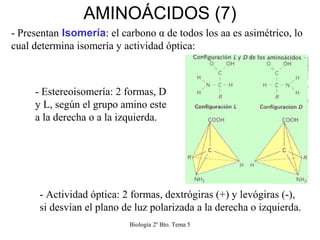 Biología 2º Bto. Tema 5
AMINOÁCIDOS (7)
- Presentan Isomería: el carbono α de todos los aa es asimétrico, lo
cual determin...