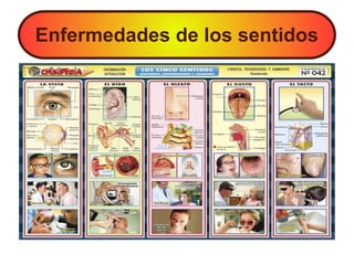 Enfermedades de los sentidos
 