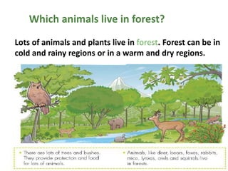 Which animals live in forest?
Lots of animals and plants live in forest. Forest can be in
cold and rainy regions or in a warm and dry regions.