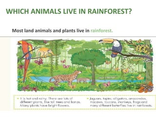WHICH ANIMALS LIVE IN RAINFOREST?
Most land animals and plants live in rainforest.

 