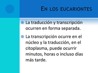 EN   LOS EUCARIONTES

   La traducción y transcripción
    ocurren en forma separada.
   La transcripción ocurre en el
    núcleo y la traducción, en el
    citoplasma, puede ocurrir
    minutos, horas o incluso días
    más tarde.
 