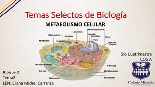 Temas Selectos de Biología
METABOLISMO CELULAR
Bloque 2
Tema2
LEN. Eliana Michel Carranza
5to Cuatrimestre
CO5 A
 