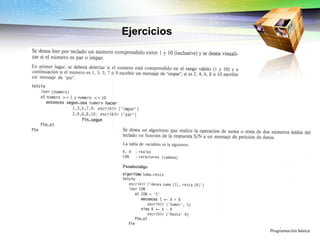 Ejercicios Universidad Hispanoamericana Programación básica 