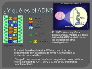 ¿Y qué es el ADN?En 1953, Watson y Crick propusieron el modelo de doble hélice del ADN basándose en los estudios de otros investigadores:RosalindFranklin y Maurice Wilkins, que hicieron experimentos con difracción de rayos X e intuyeron la existencia de una hélice.