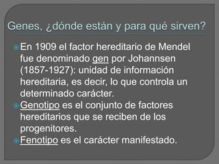 Genes, ¿dónde están y para qué sirven?En 1909 el factor hereditario de Mendel fue denominado gen por Johannsen (1857-1927): unidad de información hereditaria, es decir, lo que controla un determinado carácter.Genotipo es el conjunto de factores hereditarios que se reciben de los progenitores.Fenotipo es el carácter manifestado.