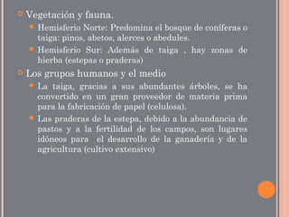  Vegetación y fauna.
 Hemisferio Norte: Predomina el bosque de coníferas o
taiga: pinos, abetos, alerces o abedules.
 Hemisferio Sur: Además de taiga , hay zonas de
hierba (estepas o praderas)
 Los grupos humanos y el medio
 La taiga, gracias a sus abundantes árboles, se ha
convertido en un gran proveedor de materia prima
para la fabricación de papel (celulosa).
 Las praderas de la estepa, debido a la abundancia de
pastos y a la fertilidad de los campos, son lugares
idóneos para el desarrollo de la ganadería y de la
agricultura (cultivo extensivo)
 