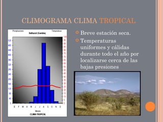 CLIMOGRAMA CLIMA TROPICAL
 Breve estación seca.
 Temperaturas
uniformes y cálidas
durante todo el año por
localizarse cerca de las
bajas presiones
ecuatoriales.
 