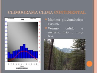 CLIMOGRAMA CLIMA CONTINENTAL
 Máximo pluviométrico:
verano.
 Verano cálido e
invierno frío o muy
frío.
 