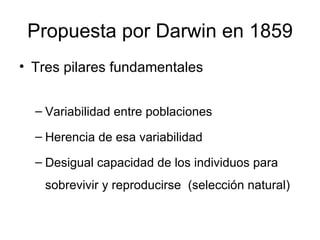 Propuesta por Darwin en 1859 Tres pilares fundamentales Variabilidad entre poblaciones Herencia de esa variabilidad Desigual capacidad de los individuos para sobrevivir y reproducirse  (selección natural) 