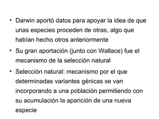 Darwin aportó datos para apoyar la idea de que unas especies proceden de otras, algo que habían hecho otros anteriormente Su gran aportación (junto con Wallace) fue el mecanismo de la selección natural Selección natural : mecanismo por el que determinadas variantes génicas se van incorporando a una población permitiendo con su acumulación la aparición de una nueva especie 