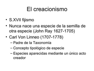 El creacionismo S.XVII fijismo Nunca nace una especie de la semilla de otra especie (John Ray 1627-1705) Carl Von Linneo (1707-1778) Padre de la Taxonomía Concepto tipológico de especie Especies aparecidas mediante un único acto creador 