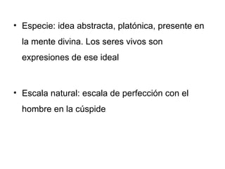 Especie: idea abstracta, platónica, presente en la mente divina. Los seres vivos son expresiones de ese ideal Escala natural: escala de perfección con el hombre en la cúspide 