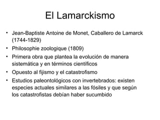 El Lamarckismo Jean-Baptiste Antoine de Monet, Caballero de Lamarck (1744-1829) Philosophie zoologique (1809) Primera obra que plantea la evolución de manera sistemática y en términos científicos Opuesto al fijismo y el catastrofismo Estudios paleontológicos con invertebrados: existen especies actuales similares a las fósiles y que según los catastrofistas debían haber sucumbido 