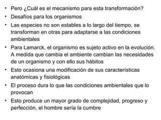 Pero ¿Cuál es el mecanismo para esta transformación? Desafíos para los organismos Las especies no son estables a lo largo del tiempo, se transforman en otras para adaptarse a las condiciones ambientales Para Lamarck, el organismo es sujeto activo en la evolución. A medida que cambia el ambiente cambian las necesidades de un organismo y con ello sus hábitos Esto ocasiona una modificación de sus características anatómicas y fisiológicas El proceso dura lo que las condiciones ambientales que lo provocan Esto produce un mayor grado de complejidad, progreso y perfección, el hombre sería la cumbre 