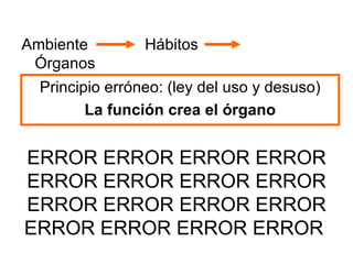 ERROR ERROR ERROR ERROR ERROR ERROR ERROR ERROR ERROR ERROR ERROR ERROR ERROR ERROR ERROR ERROR  Ambiente   Hábitos   Órganos Principio erróneo: (ley del uso y desuso) La función crea el órgano 