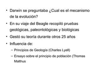 Darwin se preguntaba ¿Cual es el mecanismo de la evolución? En su viaje del Beagle recopiló pruebas geológicas, paleontológicas y biológicas Gestó su teoría durante otros 25 años Influencia de: Principios de Geología (Charles Lyell) Ensayo sobre el principio de población (Thomas Malthus 