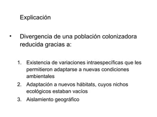 Explicación Divergencia de una población colonizadora reducida gracias a: Existencia de variaciones intraespecíficas que les permitieron adaptarse a nuevas condiciones ambientales Adaptación a nuevos hábitats, cuyos nichos ecológicos estaban vacíos Aislamiento geográfico 