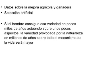 Datos sobre la mejora agrícola y ganadera Selección artificial Si el hombre consigue esa variedad en pocos miles de años actuando sobre unos pocos aspectos, la variedad provocada por la naturaleza en millones de años sobre todo el mecanismo de la vida será mayor 
