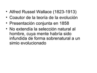 Alfred Russel Wallace (1823-1913) Coautor de la teoría de la evolución Presentación conjunta en 1858 No extendía la selección natural al hombre, cuya mente habría sido infundida de forma sobrenatural a un simio evolucionado 