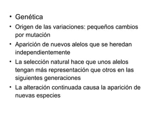 Genética Origen de las variaciones: pequeños cambios por mutación Aparición de nuevos alelos que se heredan independientemente La selección natural hace que unos alelos tengan más representación que otros en las siguientes generaciones La alteración continuada causa la aparición de nuevas especies 