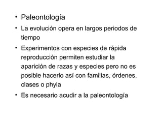 Paleontología La evolución opera en largos periodos de tiempo Experimentos con especies de rápida reproducción permiten estudiar la aparición de razas y especies pero no es posible hacerlo así con familias, órdenes, clases o phyla Es necesario acudir a la paleontología 