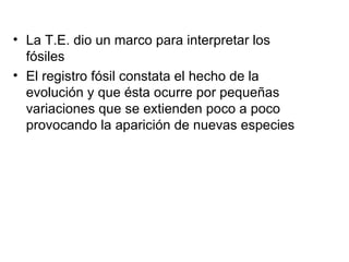 La T.E. dio un marco para interpretar los fósiles El registro fósil constata el hecho de la evolución y que ésta ocurre por pequeñas variaciones que se extienden poco a poco provocando la aparición de nuevas especies 