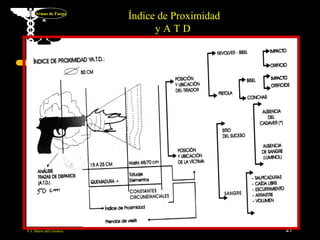 Armas de Fuego
                         Índice de Proximidad
                               yATD




F.I. Mario del Giudice                          27
 