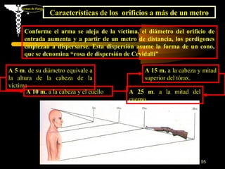 Armas de Fuego
                      Características de los orificios a más de un metro

      Conforme el arma se aleja de la víctima, el diámetro del orificio de
      entrada aumenta y a partir de un metro de distancia, los perdigones
      empiezan a dispersarse. Esta dispersión asume la forma de un cono,
      que se denomina “rosa de dispersión de Cevidalli”

A 5 m. de su diámetro equivale a                   A 15 m. a la cabeza y mitad
la altura de la cabeza de la                       superior del tórax.
víctima
       A 10 m. a la cabeza y el cuello        A 25 m. a la mitad del
                                              cuerpo.




                                                                        55
 