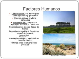 Factores Humanos
 Deforestación: tala de bosques
    para agricultura y ganadería
    Ejemplo paisaje pradería
             cantábrico
   Reforestación: introducción
  eucalipto en España Cantábrica
Reforestaciones pino en época de
               Franco
Potencialmente el 90% España es
         superficie boscosa
           Sólo el 20%
Mas degradado Arco Mediterráneo
           que Cantábrico
   Últimos años: Intervenciones
              positivas
 