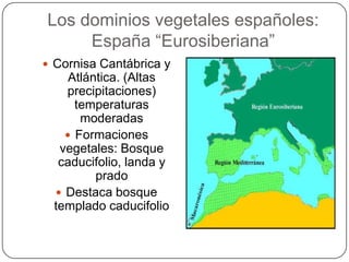 Los dominios vegetales españoles:
     España “Eurosiberiana”
 Cornisa Cantábrica y
     Atlántica. (Altas
    precipitaciones)
      temperaturas
       moderadas
     Formaciones
   vegetales: Bosque
   caducifolio, landa y
          prado
   Destaca bosque
  templado caducifolio
 