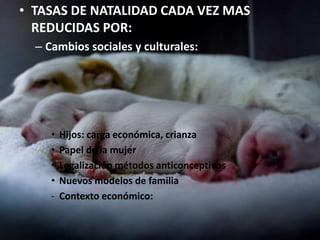 • TASAS DE NATALIDAD CADA VEZ MAS
  REDUCIDAS POR:
              NATALIDAD
  – Cambios sociales y culturales:




     •   Hijos: carga económica, crianza
     •   Papel de la mujer
     •   Legalización métodos anticonceptivos
     •   Nuevos modelos de familia
     -   Contexto económico:
 