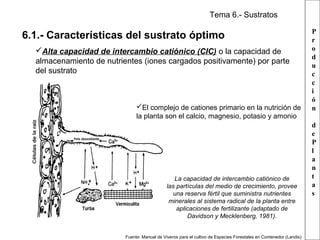 Tema 6.- Sustratos

6.1.- Características del sustrato óptimo
Alta capacidad de intercambio catiónico (CIC) o la capacidad de
almacenamiento de nutrientes (iones cargados positivamente) por parte
del sustrato

El complejo de cationes primario en la nutrición de
la planta son el calcio, magnesio, potasio y amonio

La capacidad de intercambio catiónico de
las partículas del medio de crecimiento, provee
una reserva fértil que suministra nutrientes
minerales al sistema radical de la planta entre
aplicaciones de fertilizante (adaptado de
Davidson y Mecklenberg, 1981).
Fuente: Manual de Viveros para el cultivo de Especies Forestales en Contenedor (Landis)

P
r
o
d
u
c
c
i
ó
n
d
e
P
l
a
n
t
a
s

 