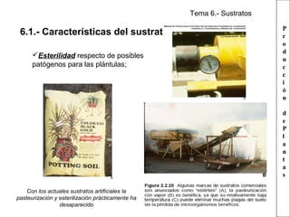 Tema 6.- Sustratos

6.1.- Características del sustrato óptimo
Esterilidad respecto de posibles
patógenos para las plántulas;

P
r
o
d
u
c
c
i
ó
n
d
e
P
l
a
n
t
a
s

Con los actuales sustratos artificiales la
pasteurización y esterilización prácticamente ha
desaparecido

 